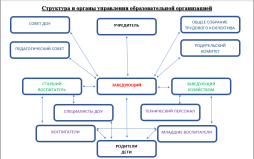 Структура управления МБДОУ Чановский детский сад №5